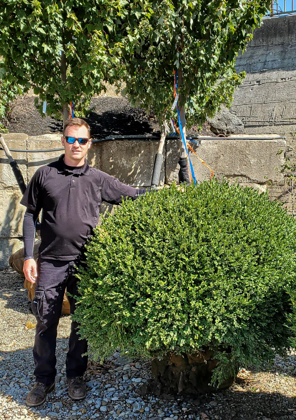 reisenberg's lawn and landscape founder