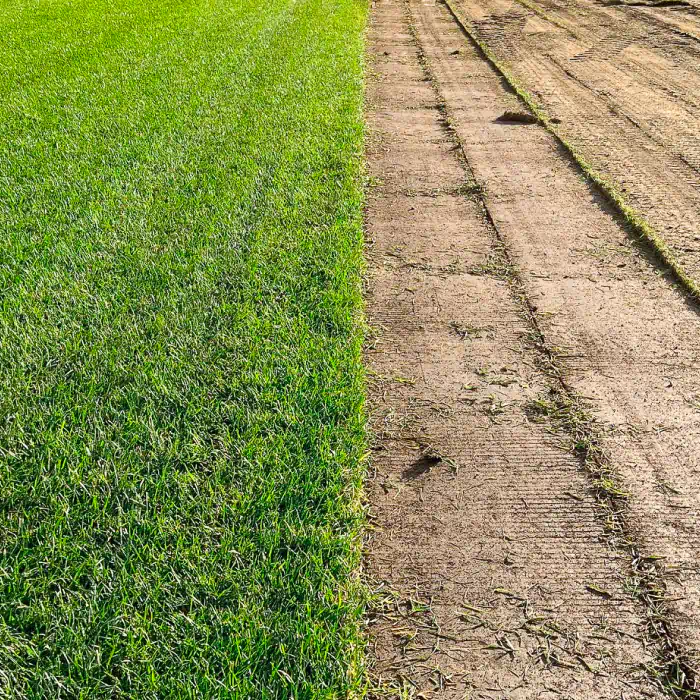 turf installation services