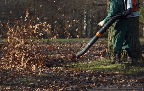 leaf removal service